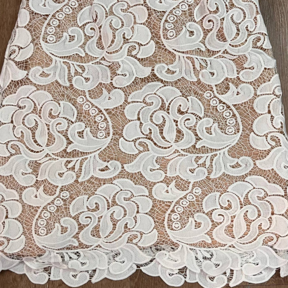 Eliza J Size 2 Sleeveless Copper Dress With White Lace Overlay - Picture 3 of 12